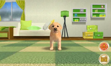 My Pet Puppy 3D (Usa) screen shot game playing